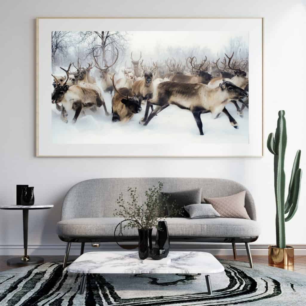 bielloskálla, 120x80 cm